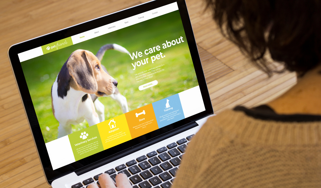 REFONTE SITE INTERNET ET FREELANCE SEO