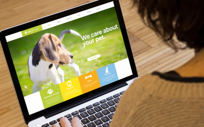 REFONTE SITE INTERNET ET FREELANCE SEO